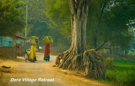 Indien Kalakho in Rajasthan