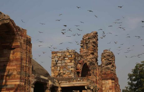 indien-vr-141120_Delhi_056