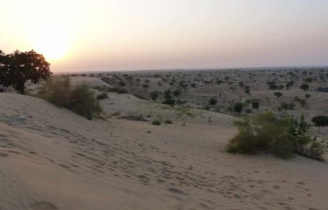 indien-vr-P1000709 Thar Wüste Indien