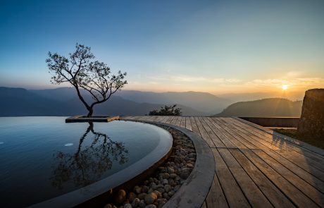 Naturheilkunde-Prakriti Shakti