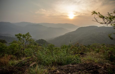 Naturheilkunde-Prakriti Shakti Blick