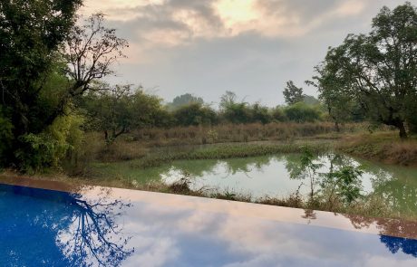 Bagh Vilas Blick vom Pool Bagh Vilas Blick vom Pool