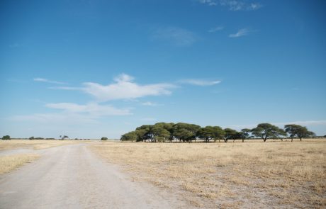 Kalahari Deception Valley