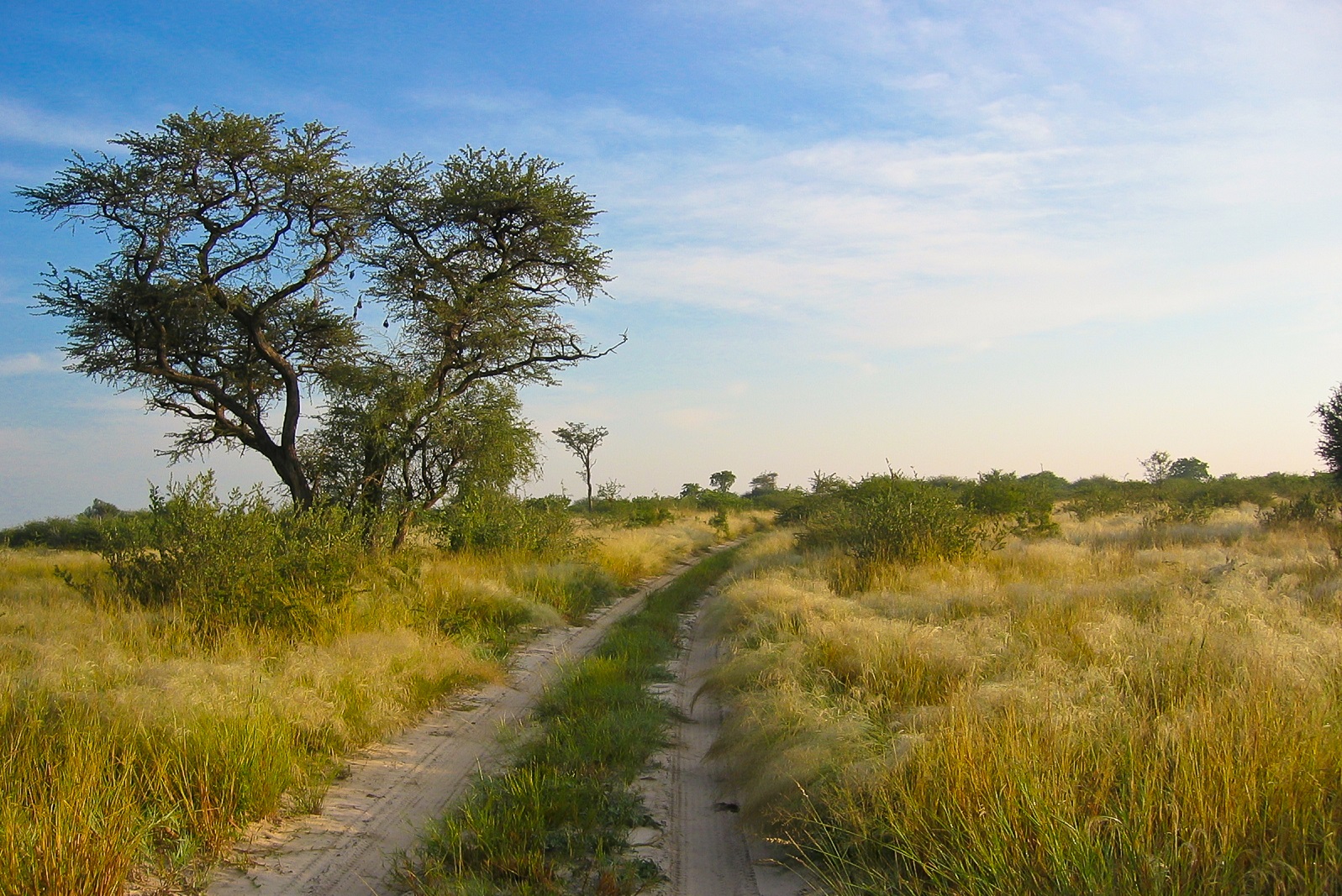 Kalahari Botswana_Khutse