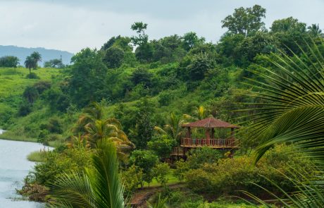 Fazlani Nature Nest Garten