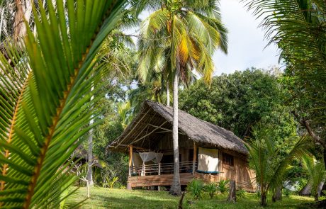 Mafia Island Bungalow Mafia Island Bungalow