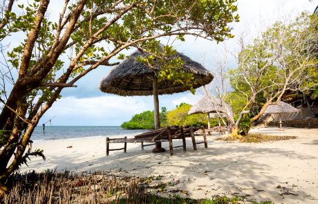 Mafia Island Pole Pole Mafia Island Pole Pole Strand