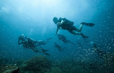 Andamanen Unterwasserwelt cc Tilar Siro Andamanen Unterwasserwelt cc Tilar Siro