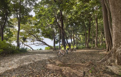 AndamanenTaj Exotica Forest Cycling