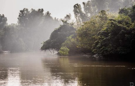 Indien Kreuzfahrt Odisha Bhitarkania Wasserwege