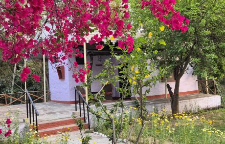 Chambal Safari Lodge