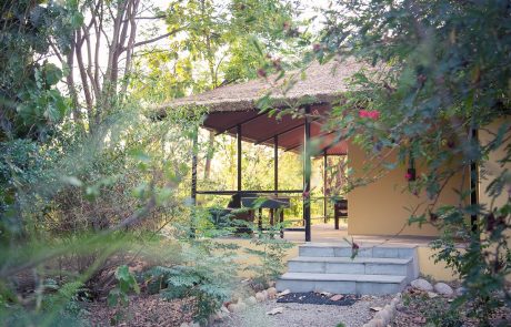 Jim`s Jungle Retreat- Cottage Corbett Nationalpark Jim`s Jungle Retreat- Cottage