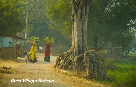 Kalakho dörfliche Landschaft Indien Kalakho dörfliche Landschaft Indien