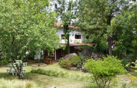 Munnar Windermere Estate Munnar Windermere Estate