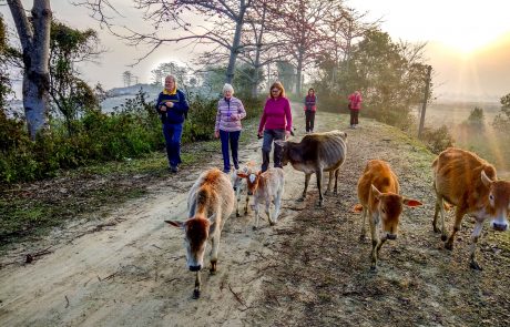 Assam Flusskreuzfahrt Naturwanderung Spaziergang durch ein Dorf am Ufer des Brahmaputra