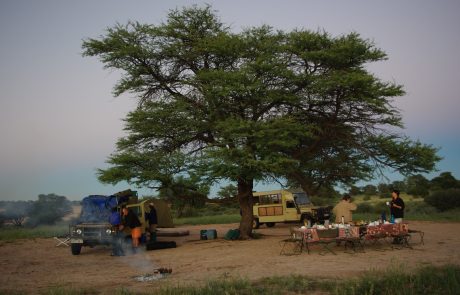 Liuwa Plains Camping Liuwa Plains Camping Set-up