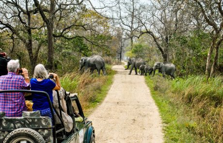 Kaziranga Nationalpark Jeep Safari Jeep Safari Begegnung mit Elefanten im Kaziranga Nationalpark, Assam