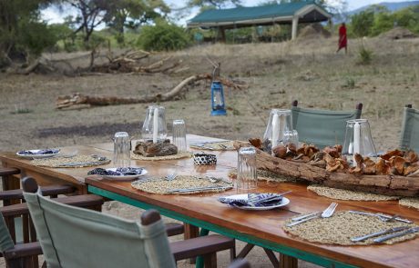 Nyerere Nationalpark - Mdonya Old River Open Air Dinner
