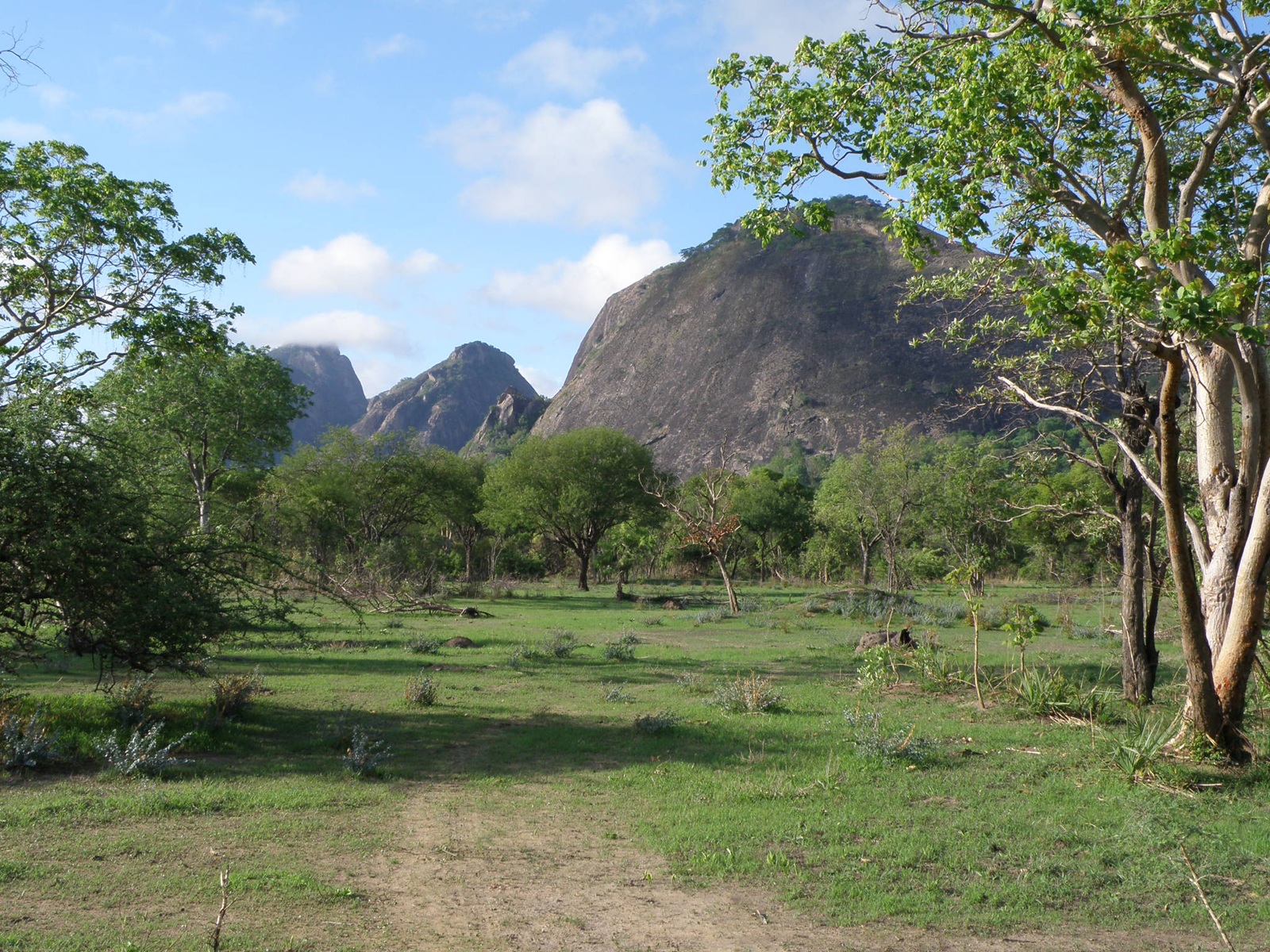Lugenda Nationalparl Landschaft