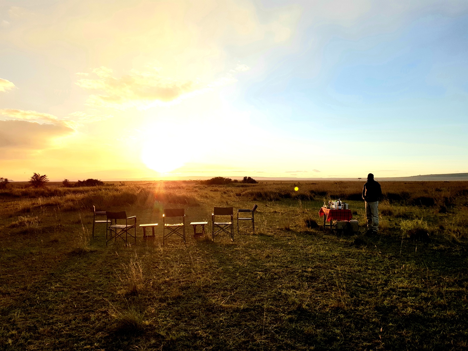 5 Stühle in der Mara vor einem Sonnenaufgang
