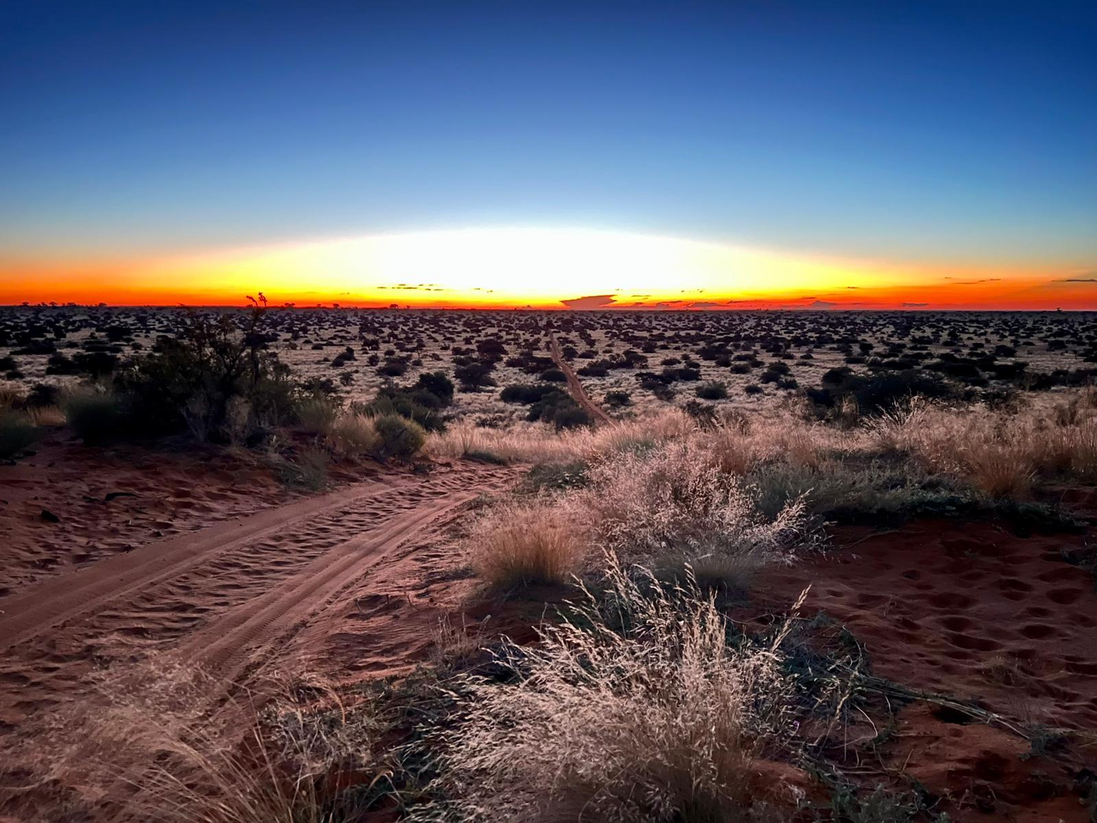 Steppe in Südafrika bei Sonnenuntergang