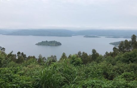 Landschaft des Volcanoes Nationalparks