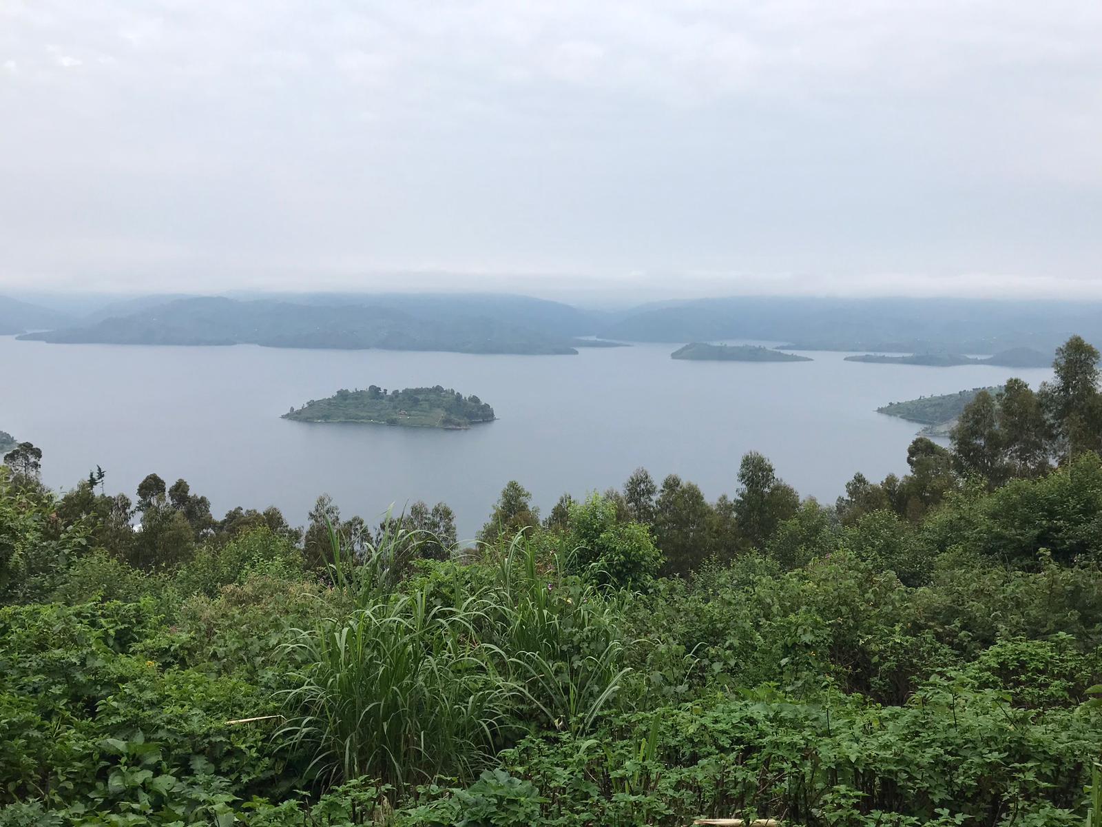 Landschaft des Volcanoes Nationalparks