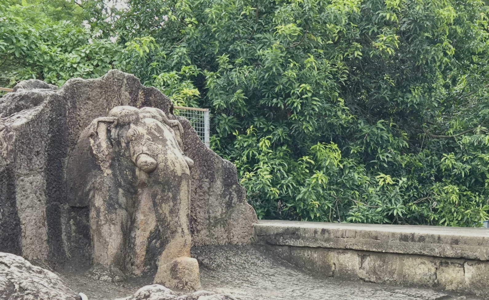 Aus-dem-Fels-gehauener-Elefantenkopf-bei-Dhaulia