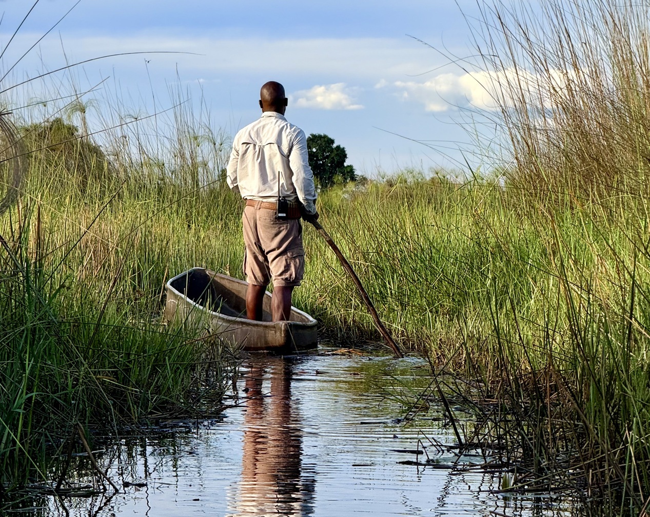 Guide steht in einem Mokoro, umgeben von Wasser u. Schilf