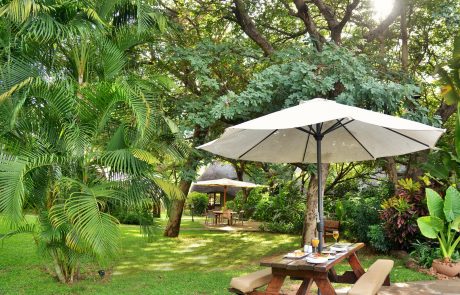 Tisch-Bank Elemente mit Schirm im Palmengarten Tisch-Bank-Schirm Element in tropischem Garten ; copyrighzt Bayete Gästehaus