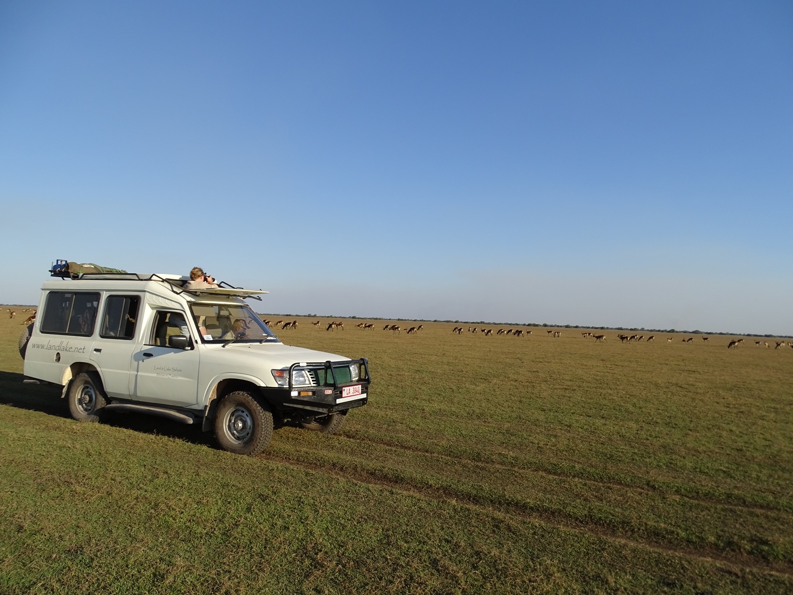 Geländewagen in der Savanne mit Antilopen